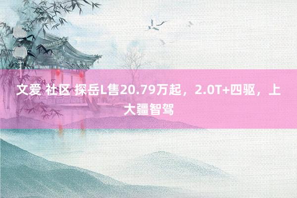 文爱 社区 探岳L售20.79万起，2.0T+四驱，上大疆智驾