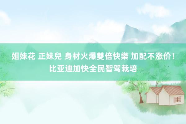 姐妹花 正妹兒 身材火爆雙倍快樂 加配不涨价！比亚迪加快全民智驾栽培