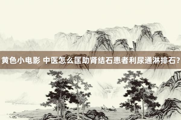 黄色小电影 中医怎么匡助肾结石患者利尿通淋排石？