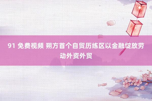 91 免费视频 朔方首个自贸历练区以金融绽放劳动外资外贸