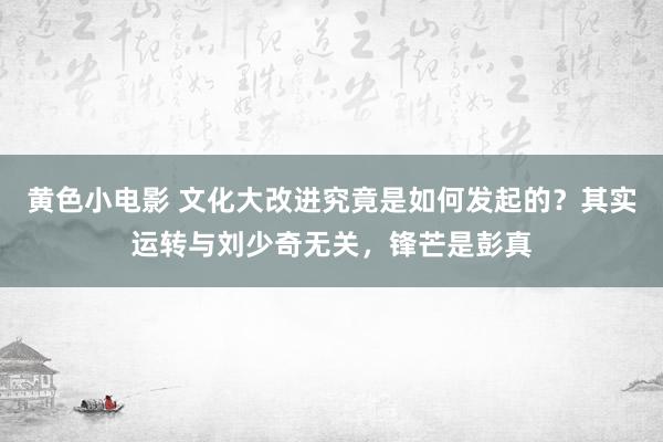 黄色小电影 文化大改进究竟是如何发起的？其实运转与刘少奇无关，锋芒是彭真