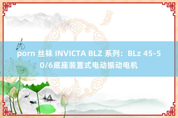 porn 丝袜 INVICTA BLZ 系列：BLz 45-50/6底座装置式电动振动电机