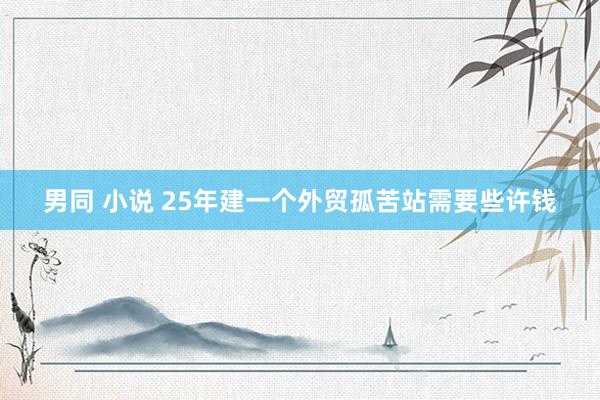 男同 小说 25年建一个外贸孤苦站需要些许钱