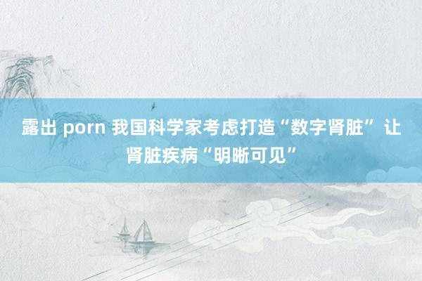 露出 porn 我国科学家考虑打造“数字肾脏” 让肾脏疾病“明晰可见”