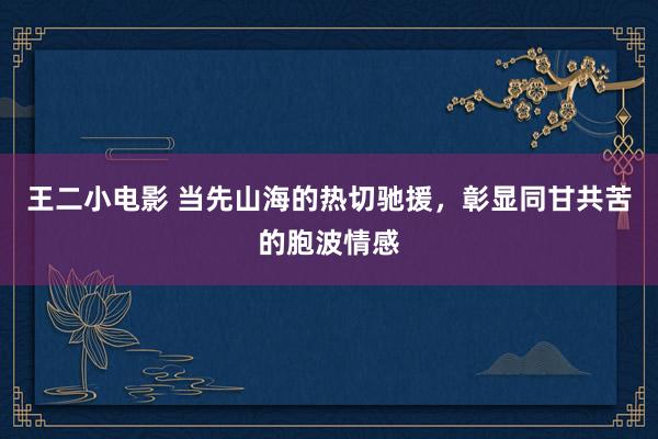 王二小电影 当先山海的热切驰援，彰显同甘共苦的胞波情感
