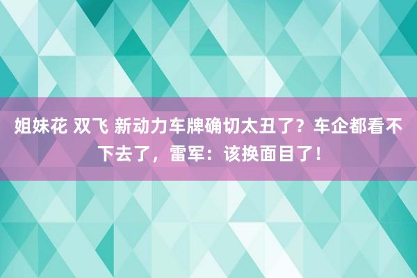 姐妹花 双飞 新动力车牌确切太丑了？车企都看不下去了，雷军：该换面目了！