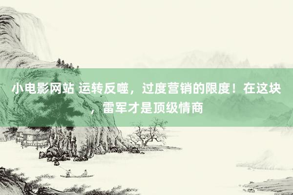 小电影网站 运转反噬，过度营销的限度！在这块，雷军才是顶级情商